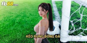 Kèo rung bóng đá Fb88: Phân Tích Biến Động Tỷ Lệ Cược Trực Tiếp